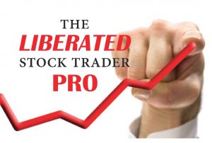 Go PPO - Stock Trading Training