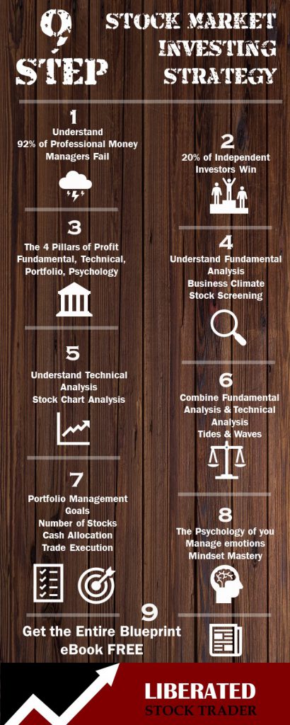 Stock Market Strategy 9 Steps Infographic