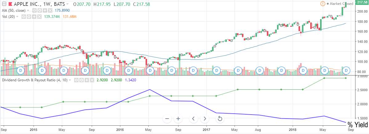 Apple Stock 1 Year Chart