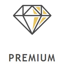 Tradingview Premium Plan Pricing Features