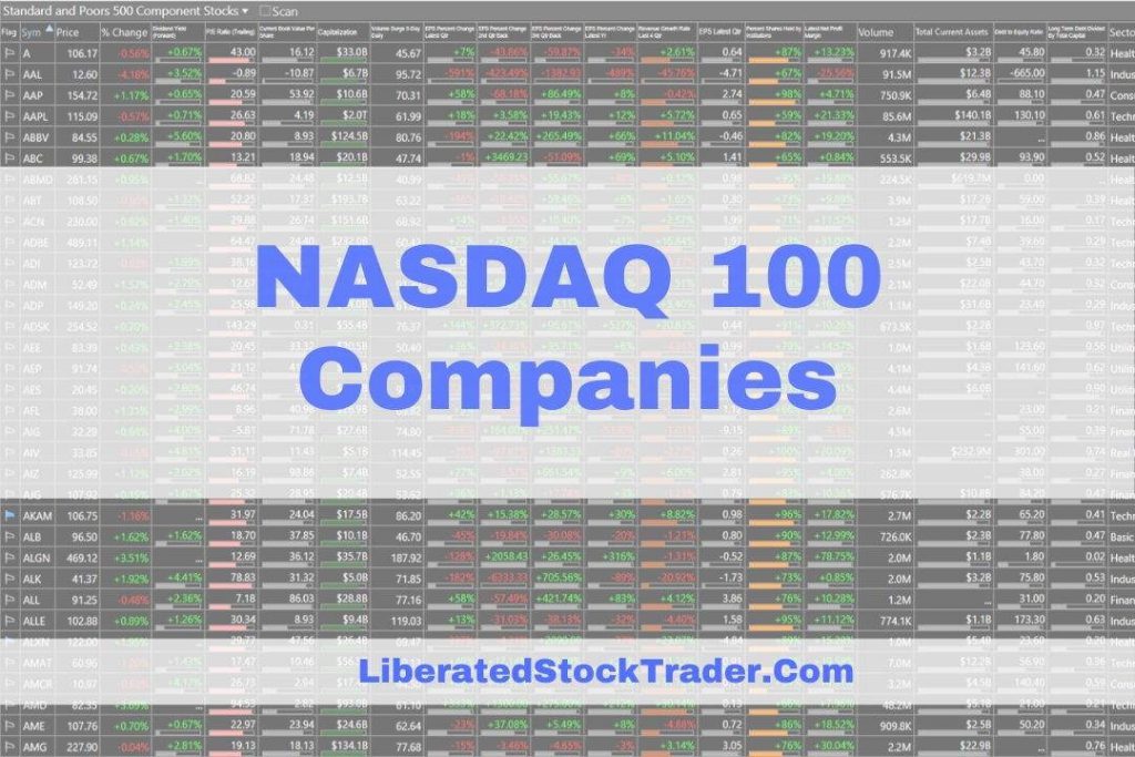 Nasdaq Top 10 Stocks : Nasdaq 40yr chart. How does it make you feel