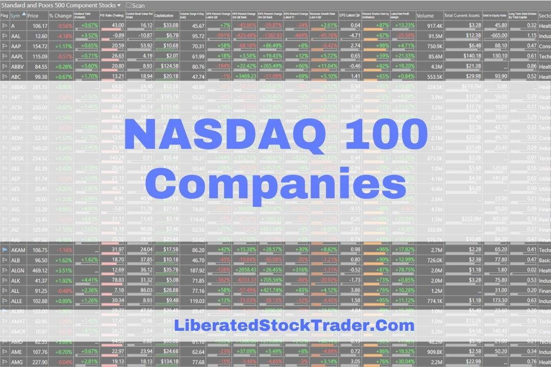 NASDAQ 100 Companies Listed by Sector & Market Cap & PE Ratio