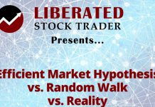 Efficient Market Hypothesis vs. Random Walk vs. Stock Market Reality