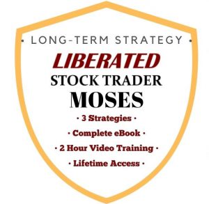 The MOSES Long-term ETF Investing Strategy