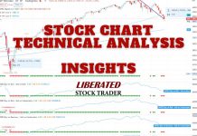 How to Trade Renko Charts & The Best Platforms to Use