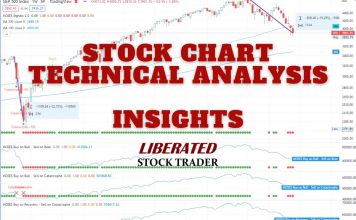 How to Trade Renko Charts & The Best Platforms to Use