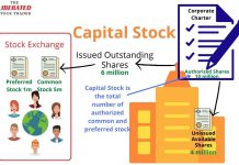 What is Capital Stock?