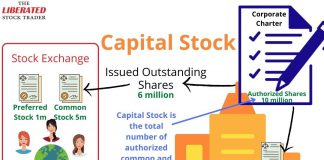 What is Capital Stock? Examples & Use In Research: Infographic: Example of Capital Stock, Authorized, Common, and Preferred Stock.