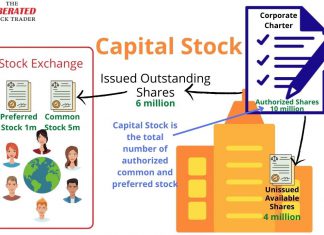 What is Capital Stock?