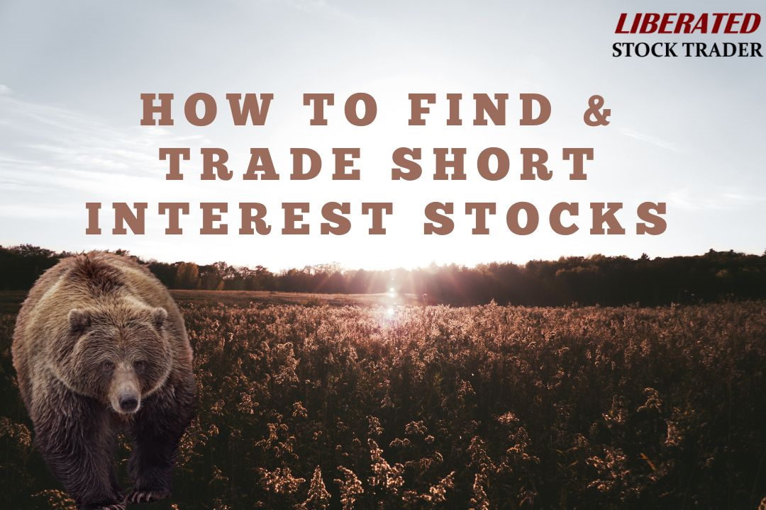 What are Short Interest Stocks: How To Find & Trade Short Interest Stocks