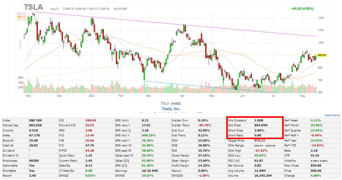 Finding Tesla Short Interest Information With Finviz