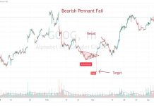 Bear Pennant Pattern