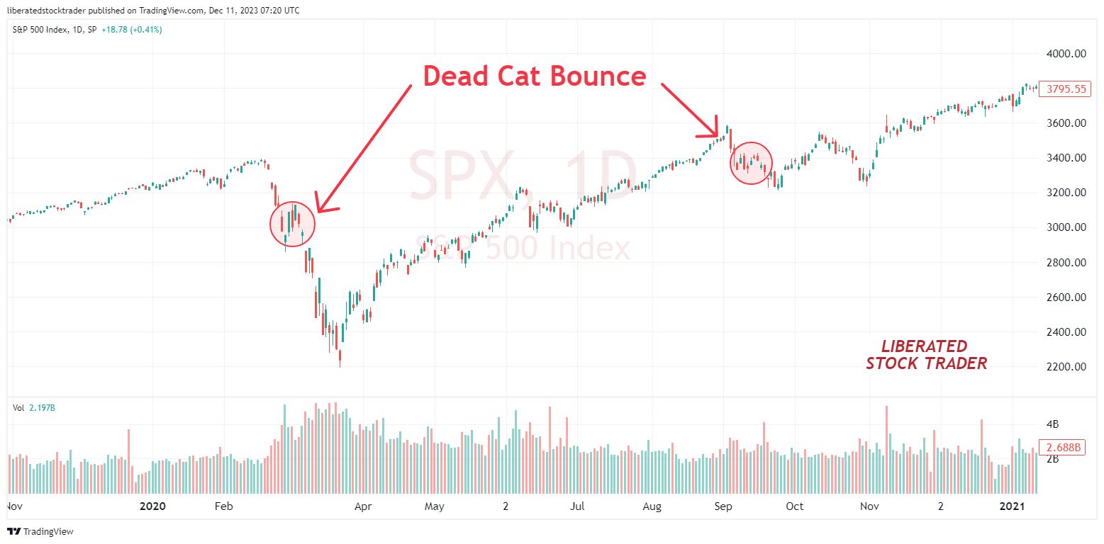 Identifying a Dead Cat Bounce