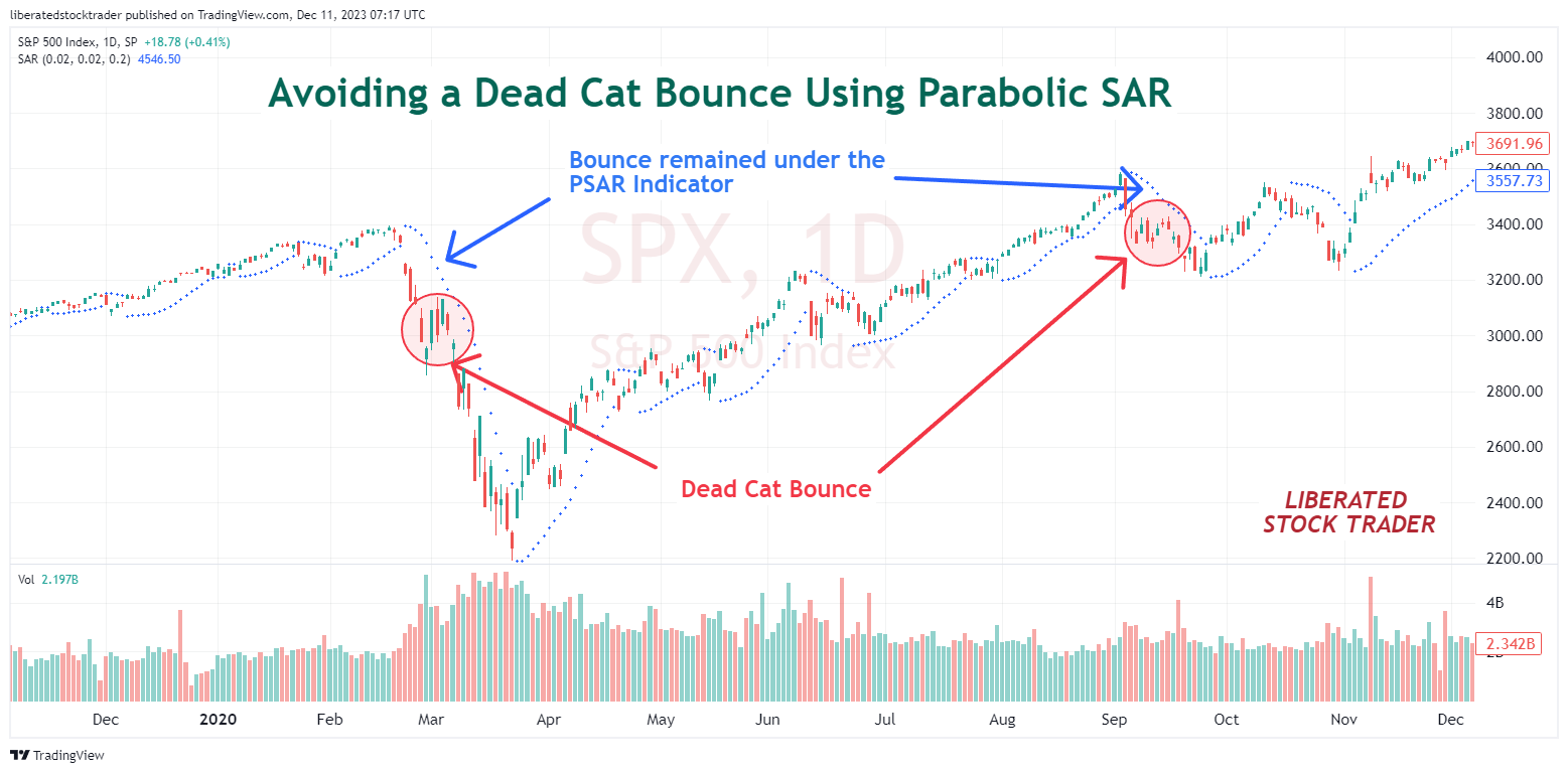 How to Avoid a Dead Cat Bounce. Try Using the Parabolic SAR indicator.